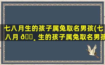 七八月生的孩子属兔取名男孩(七八月 🕸 生的孩子属兔取名男孩还是女孩)